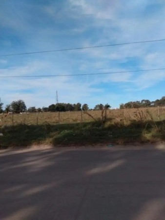 Campo ANTARTIDA ARGENTINA