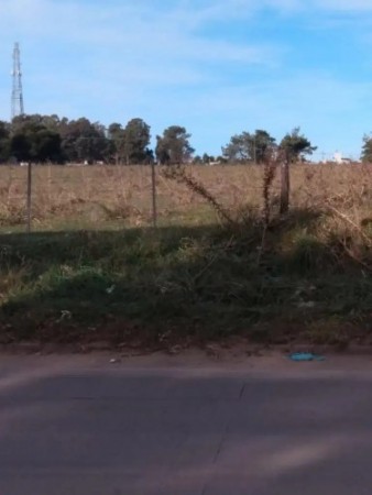 Campo ANTARTIDA ARGENTINA