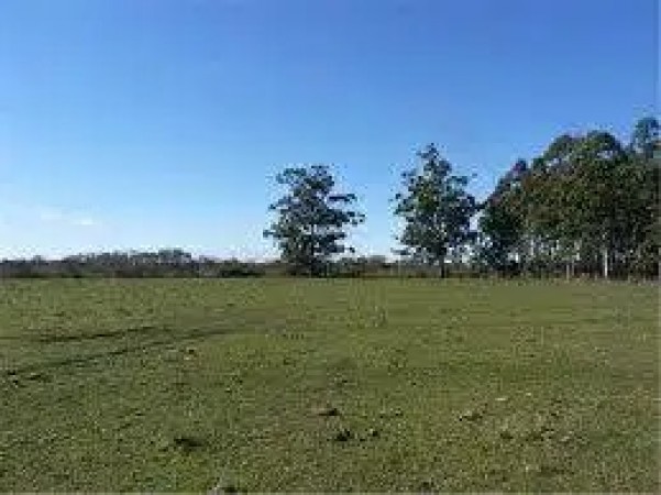 Campo RUTA 226 KM 18