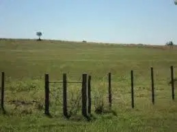 Campo RUTA 226 KM 18
