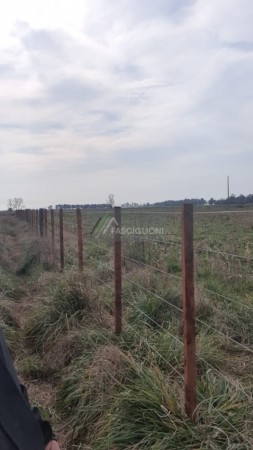 Campo en Coronel Vidal