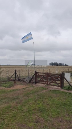 Campo en Coronel Vidal