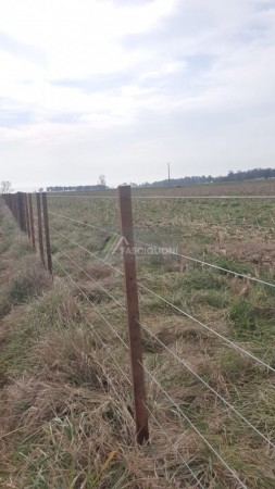 Campo en Coronel Vidal