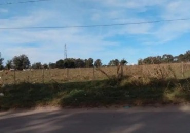 Campo ANTARTIDA ARGENTINA